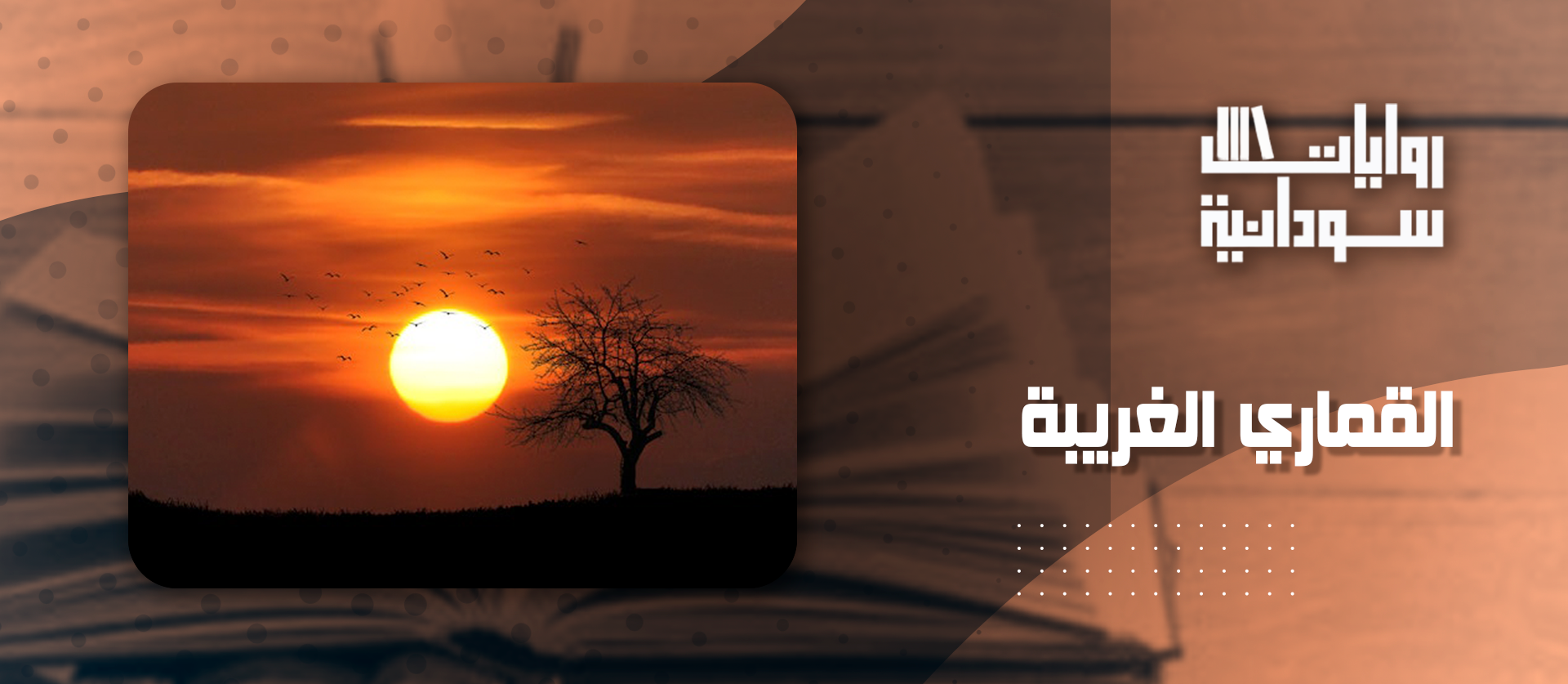 القماري الغريبة 